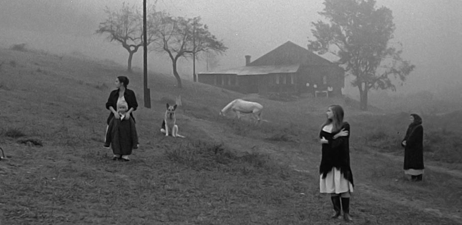 Tarkovski ve Uğur Işılak